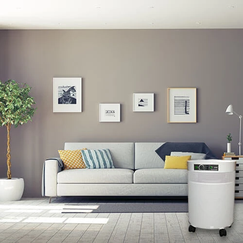 Airpura C-Series Air Purifiers With Activated Carbon For Odors And Gases - C600 And C700(Airpura C600 Air Purifier) 2 Airpura C-Series Air Purifiers With Activated Carbon For Odors And Gases - C600 And C700(Airpura C600 Air Purifier) - Image 2