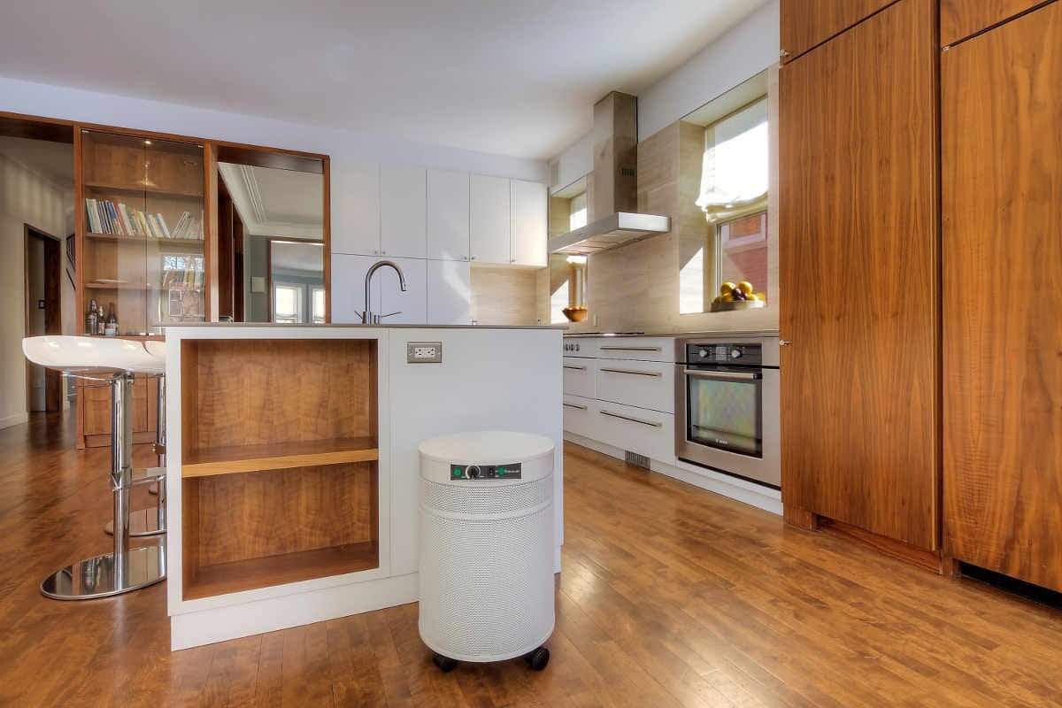 Pure n Natural -Pure n Natural uv600 air purifier for bacteria germs by airpura airpura air purifier